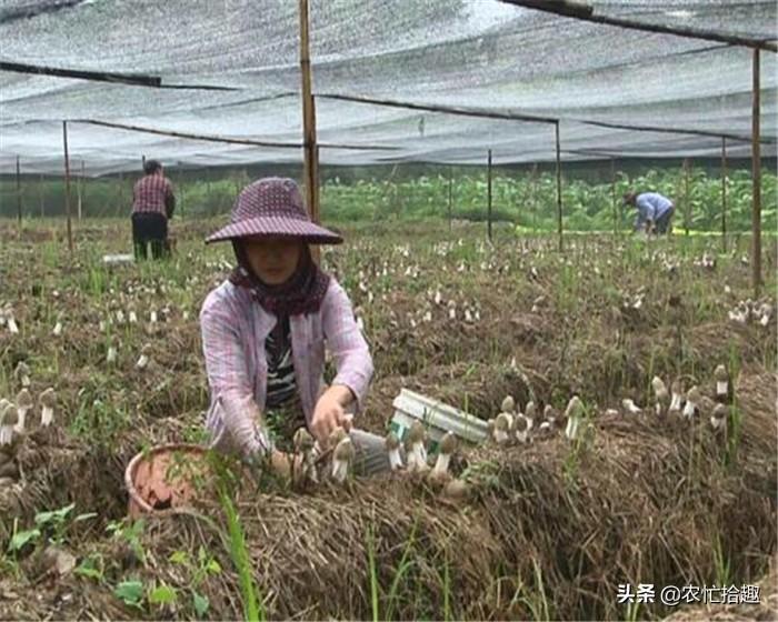 教育咨询服务 第16页